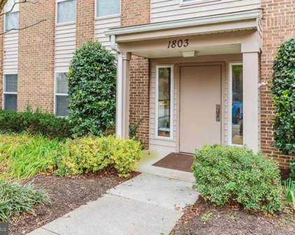 1803 Snow Meadow   Lane Unit #101, Baltimore