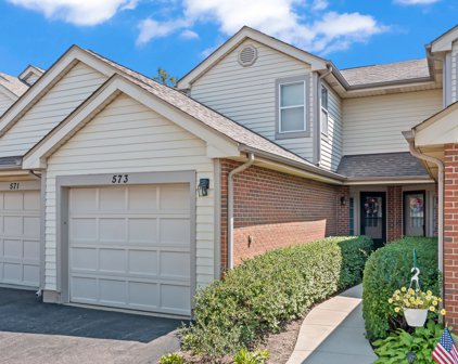 573 E Windgate Court Unit #11D4, Arlington Heights