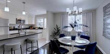 1667 Mussula, Towson