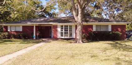 423 Mulberry Lane, Brazoria
