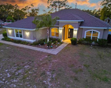 1329 Finland Drive, Spring Hill