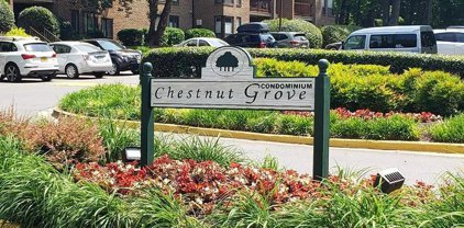 11220 Chestnut Grove Sq Unit #124, Reston