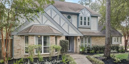 13130 Finch Brook Drive, Cypress