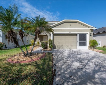 7928 Carriage Pointe Drive, Gibsonton