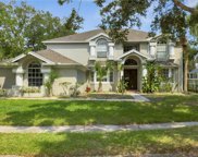 14203 Hogan Drive, Orlando image