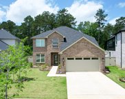 15214 N Heron Heights Way, Magnolia image