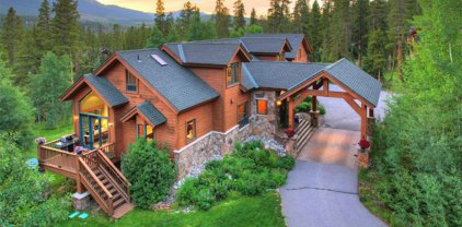161 Dyer  Trail, Breckenridge