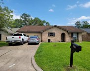 207 Blackwater Lane, Houston image