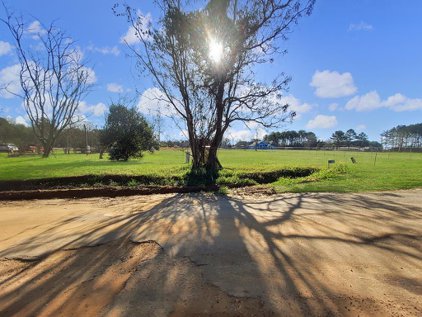 12 MACEDONIA RD, Dawson