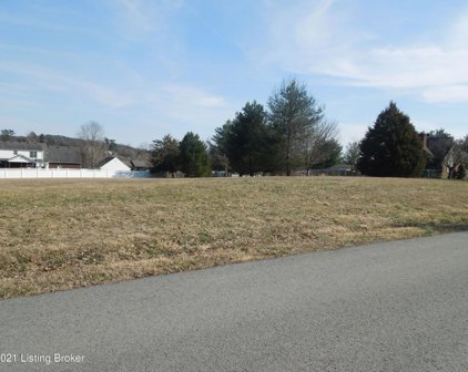 Lot 44 Aqua View Dr, Shepherdsville