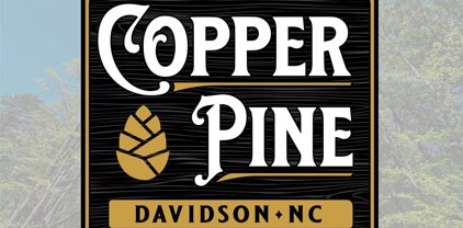 157 Copper Pine  Lane Unit #7, Davidson