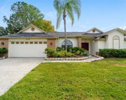 2205 Lake Bay Way, Brandon image