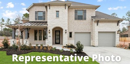 113 Bronze Peak Court, Montgomery