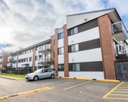 8080 Ryan Road Unit 204, Richmond image