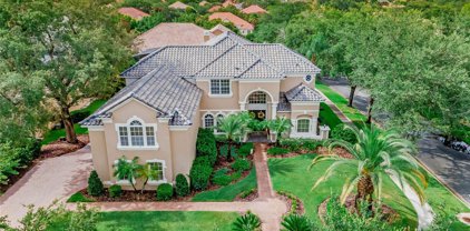 11324 Shandon Park Way, Windermere