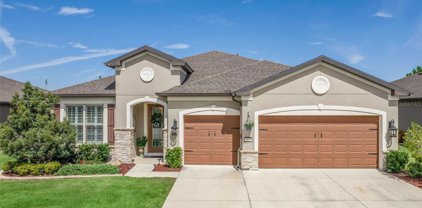 9529 Sw 64th Lane, Ocala