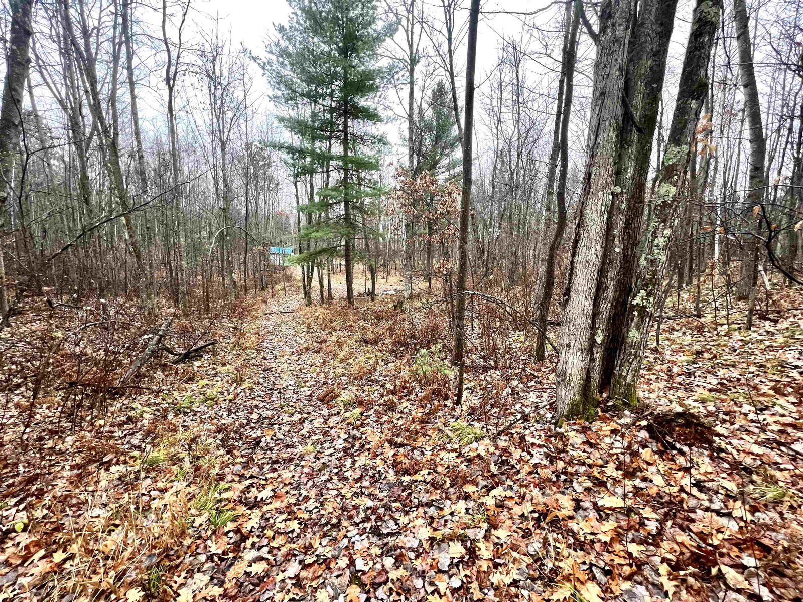 W7528 STEELE Road, Pembine, WI 54156, 54156