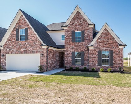 9125 S Lakeside Circle, Walls