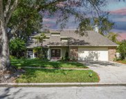 4205 Meadow Hill Drive, Tampa image