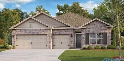 317 Mistfield Street, Huntsville