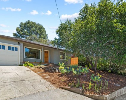 346 Lakeview WAY, Redwood City