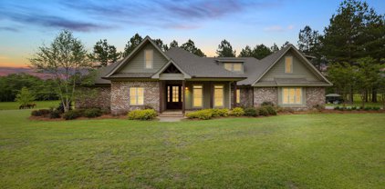 1418 Ms-29, Ellisville