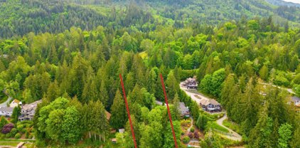 18895 W Big Lake Boulevard, Mount Vernon