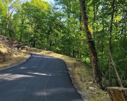 Off Trough Rd Unit #LOT 1, Shepherdstown