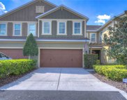 11722 Casa Lago Lane, Tampa image
