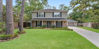 5 Sweetbeth Court, The Woodlands