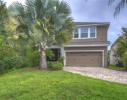 16206 Bayberry View Drive, Lithia image