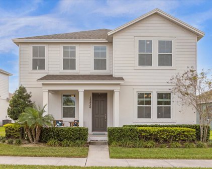 15536 Sunquat Drive, Winter Garden