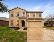 22019 Willow Shadows Drive, Tomball image