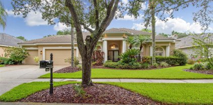 9128 Highland Ridge Way, Tampa