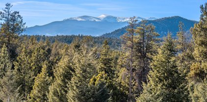 26830 Longview Drive, Conifer
