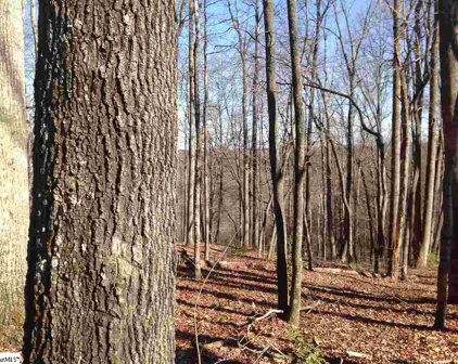 312 Laurel Valley Way, Travelers Rest
