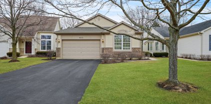 16225 Goose Lake Drive, Crest Hill