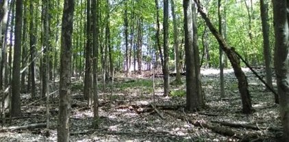 V/L Dewey  Avenue, North Collins-Village-145801