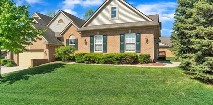 8217 SPRINGDALE, White Lake Twp