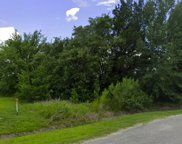 0000 Pine Meadow, Missouri City image