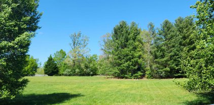 Chestnut Creek  Dr, Hardy