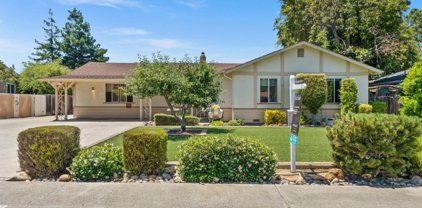 121 Hunt Way, Campbell