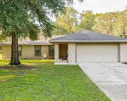 12576 Sw 93rd Street, Dunnellon image