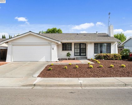 6225 Garner Ct, Pleasanton