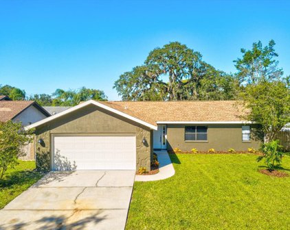 7825 Glascow Drive, New Port Richey