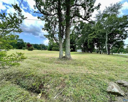 Lot 1 County Road 1009, Fort Payne
