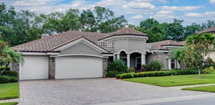 3059 Leanne Court, Clearwater