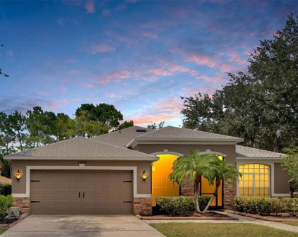 7605 Nottinghill Sky Drive, Apollo Beach