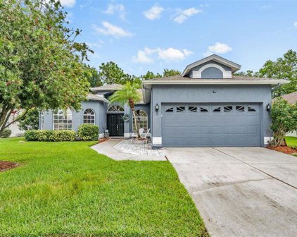 1502 Clearglades Drive, Wesley Chapel