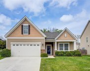 860 Ivy Trail  Way, Fort Mill image
